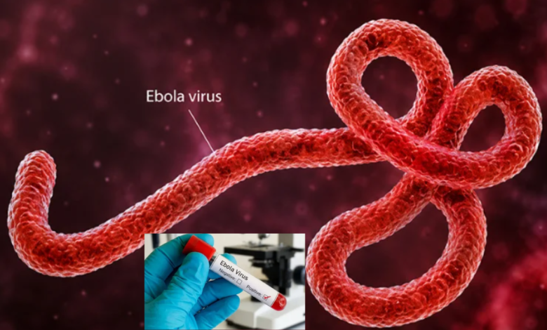 Ebola Virus