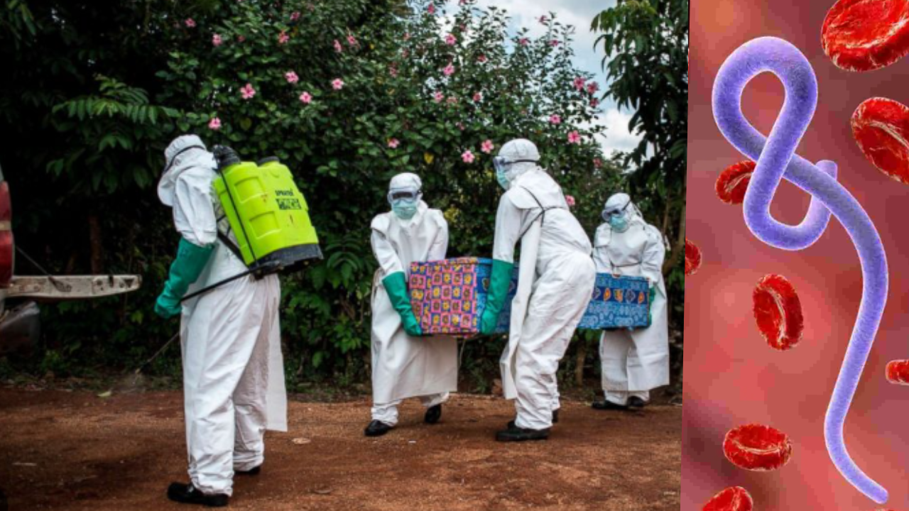 Ebola Virus