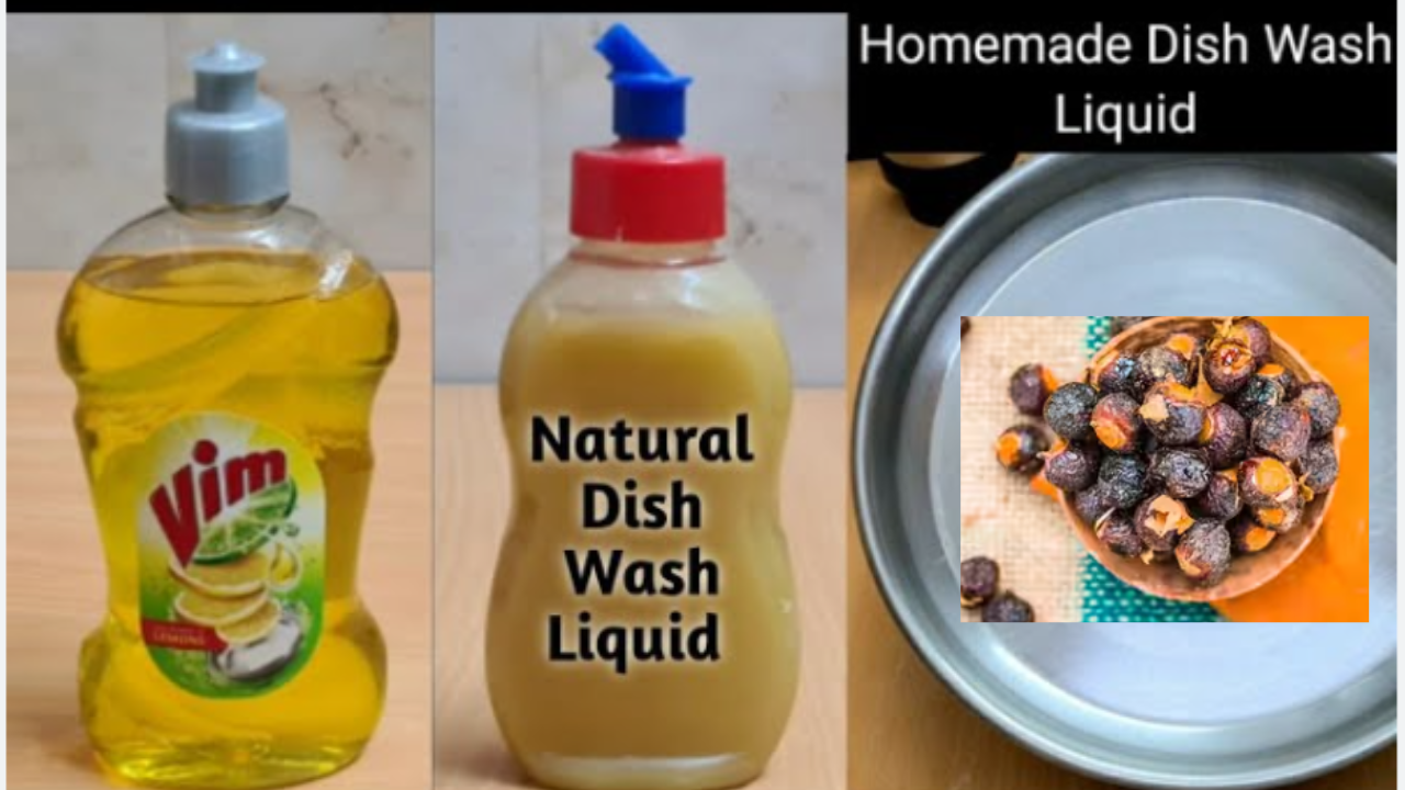 Natural Dishwash Liquid