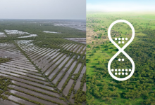 Great Green Wall