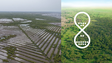 Great Green Wall