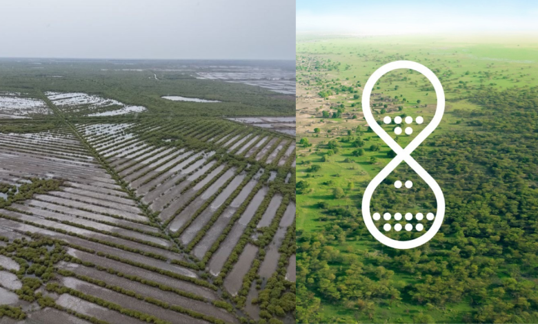 Great Green Wall