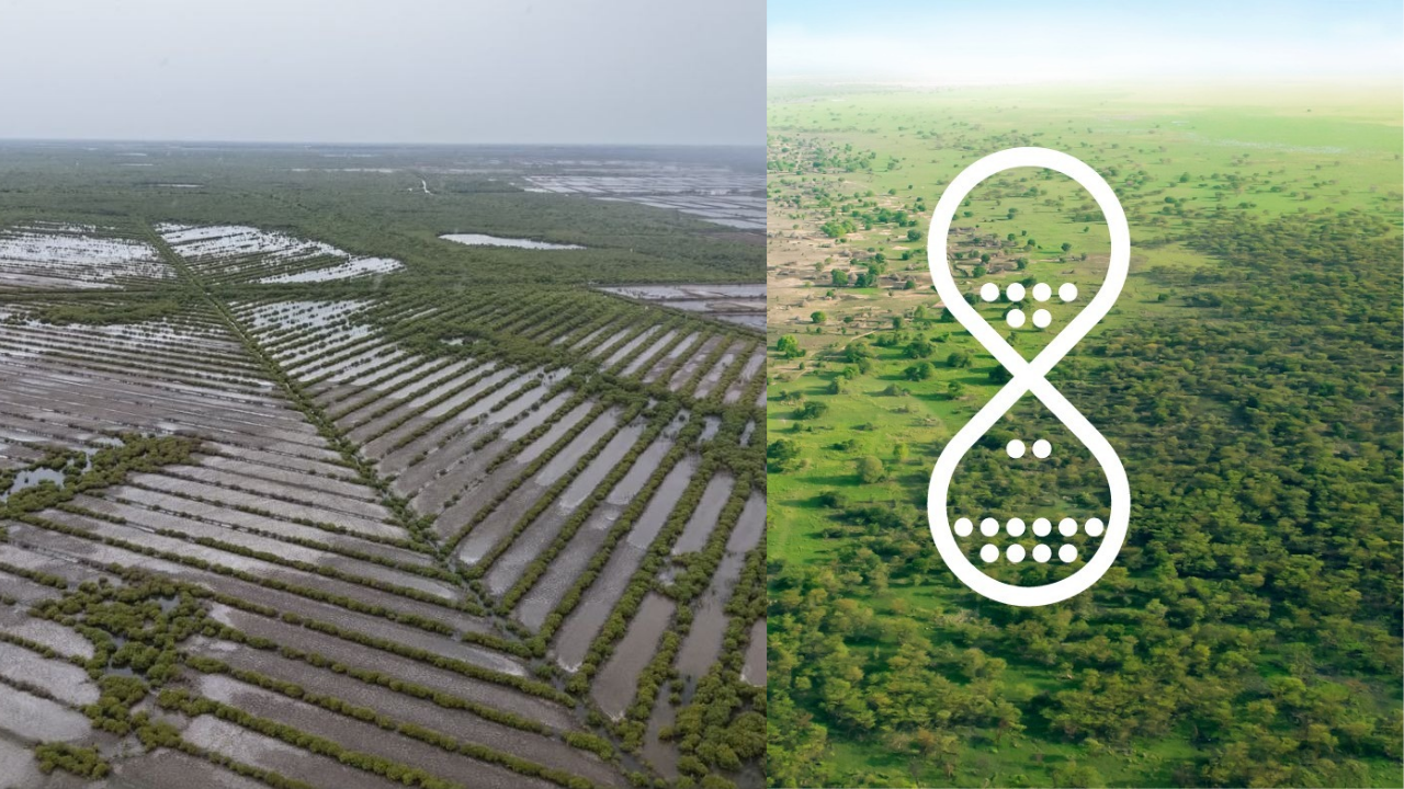 Great Green Wall