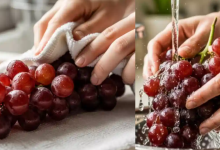 Grapes