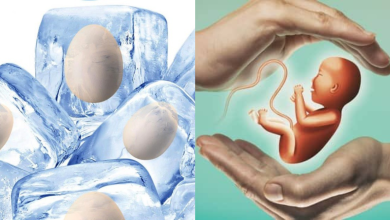 Egg Freezing