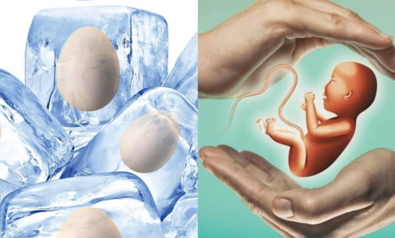 Egg Freezing