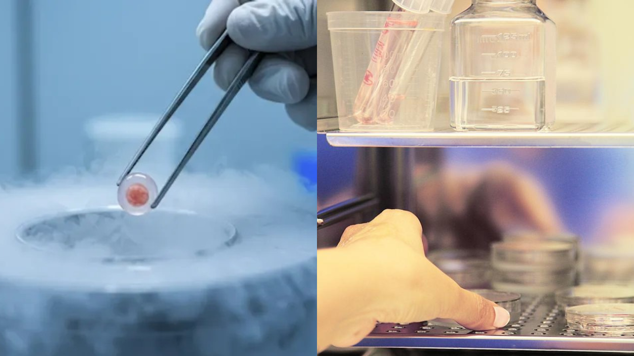 Egg Freezing