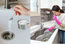 Bad Smell From Kitchen