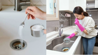 Bad Smell From Kitchen