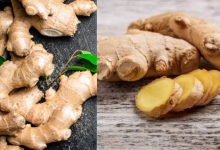 Ginger