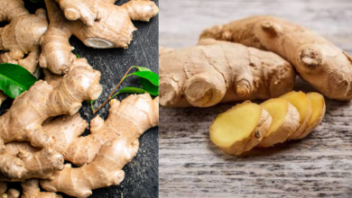 Ginger