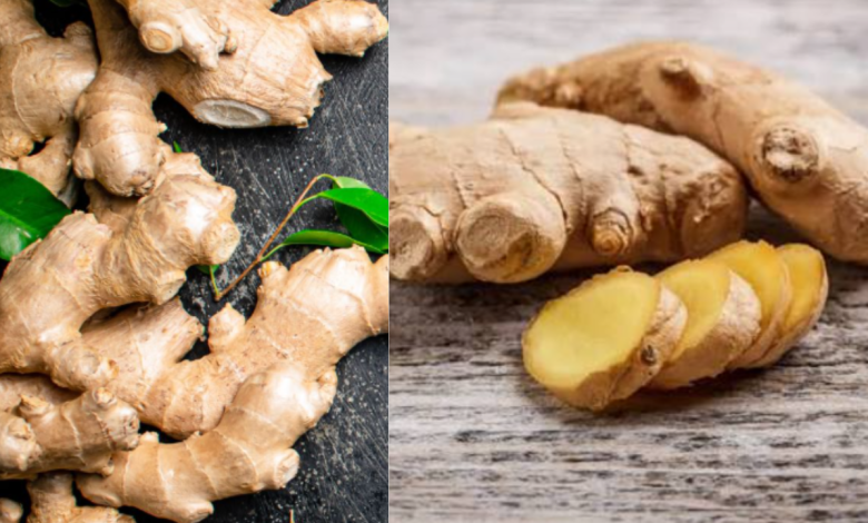 Ginger