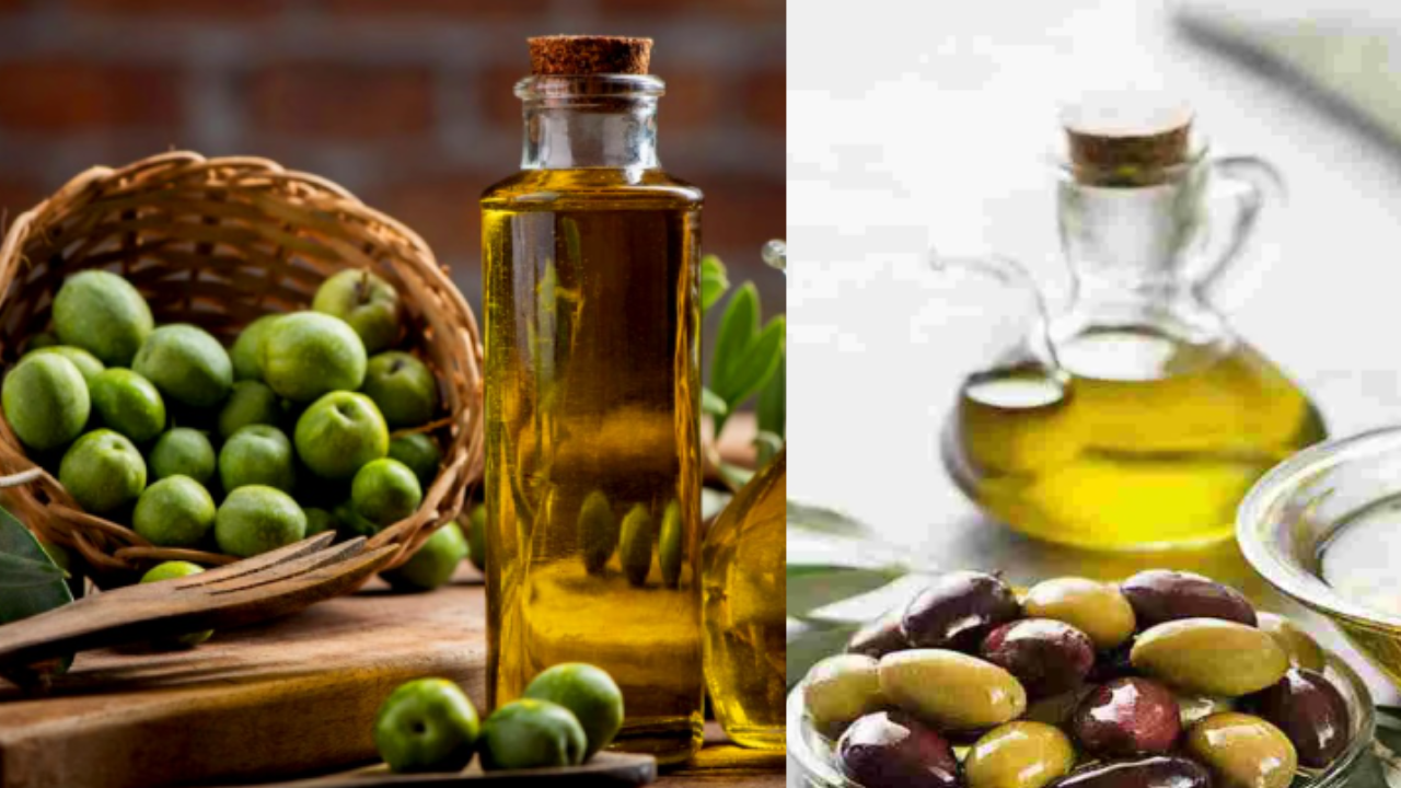 Olive Oil