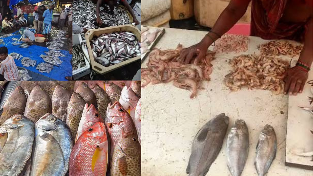 Fish