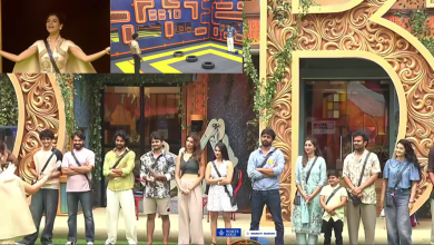 Bigg Boss 10 Telugu Day 19