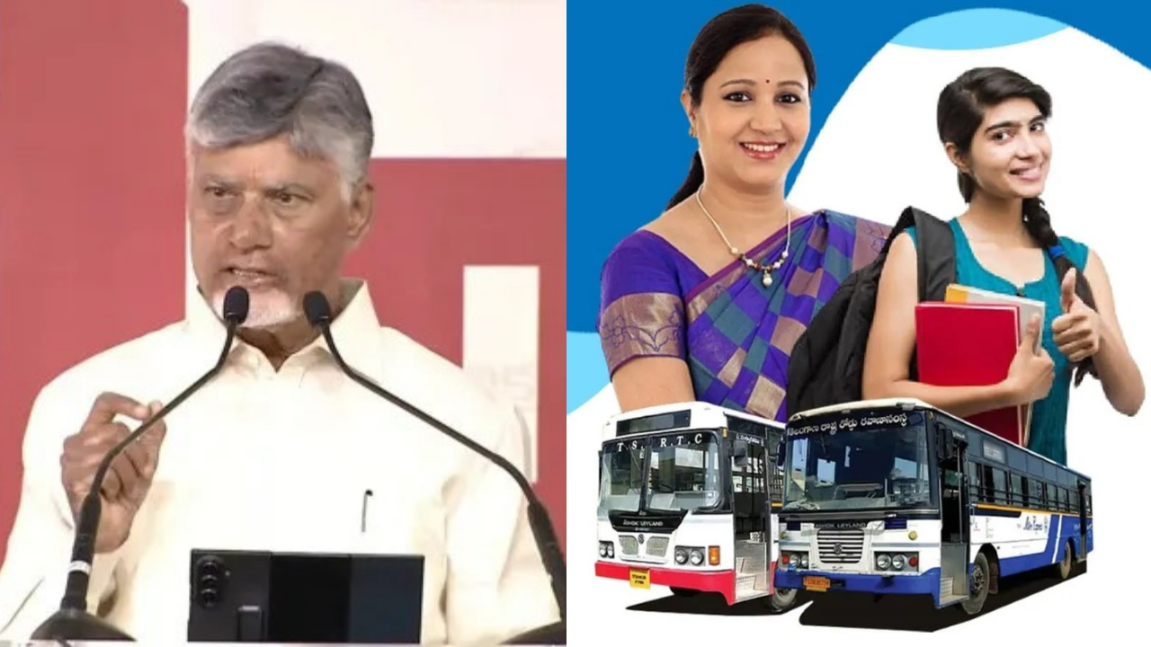 Free Bus