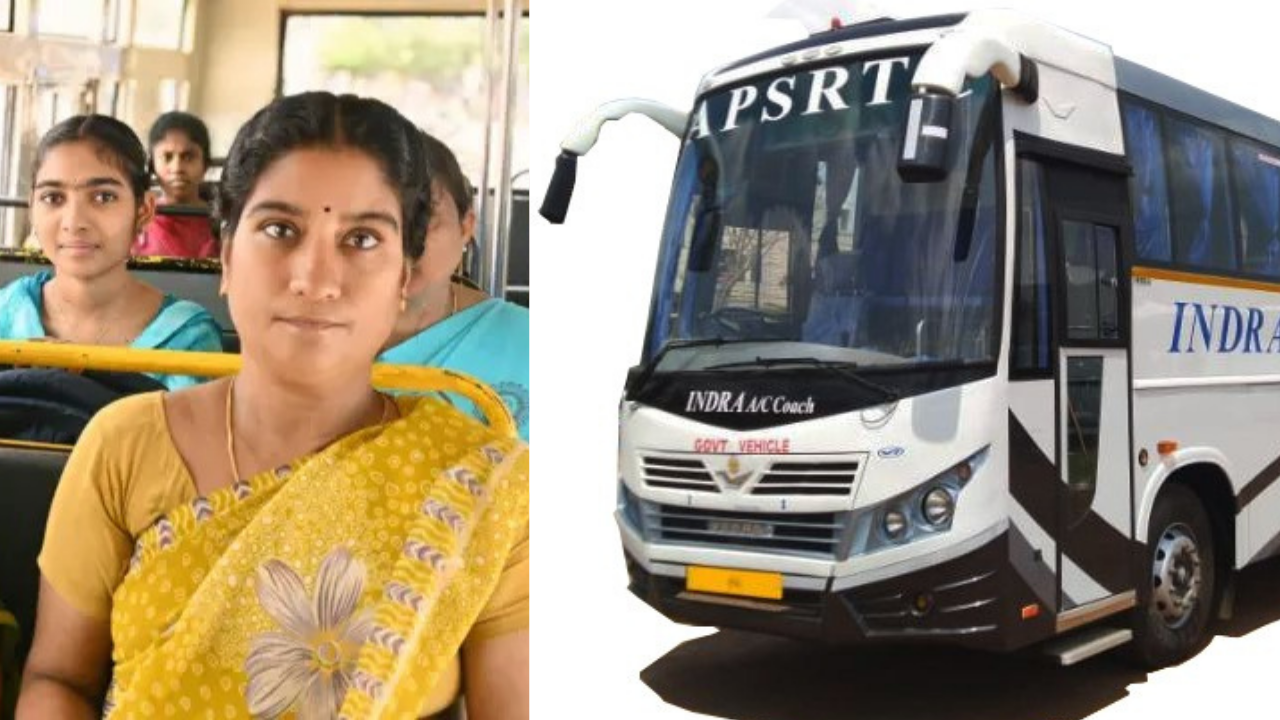 Free Bus
