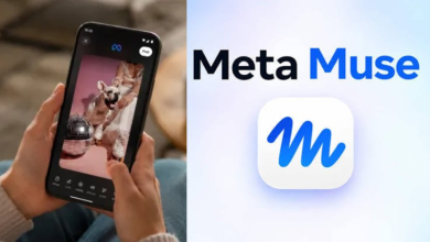 Meta Muse