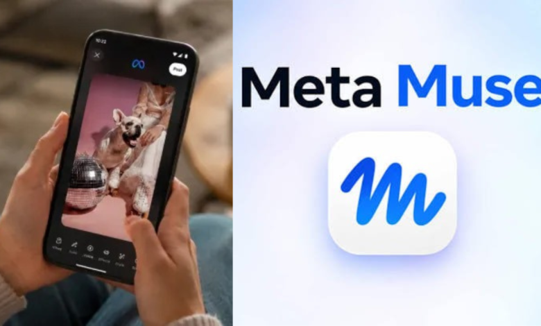 Meta Muse
