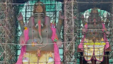Nagole Eco Ganesha