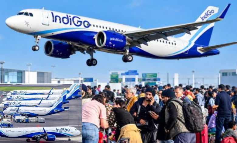 IndiGo