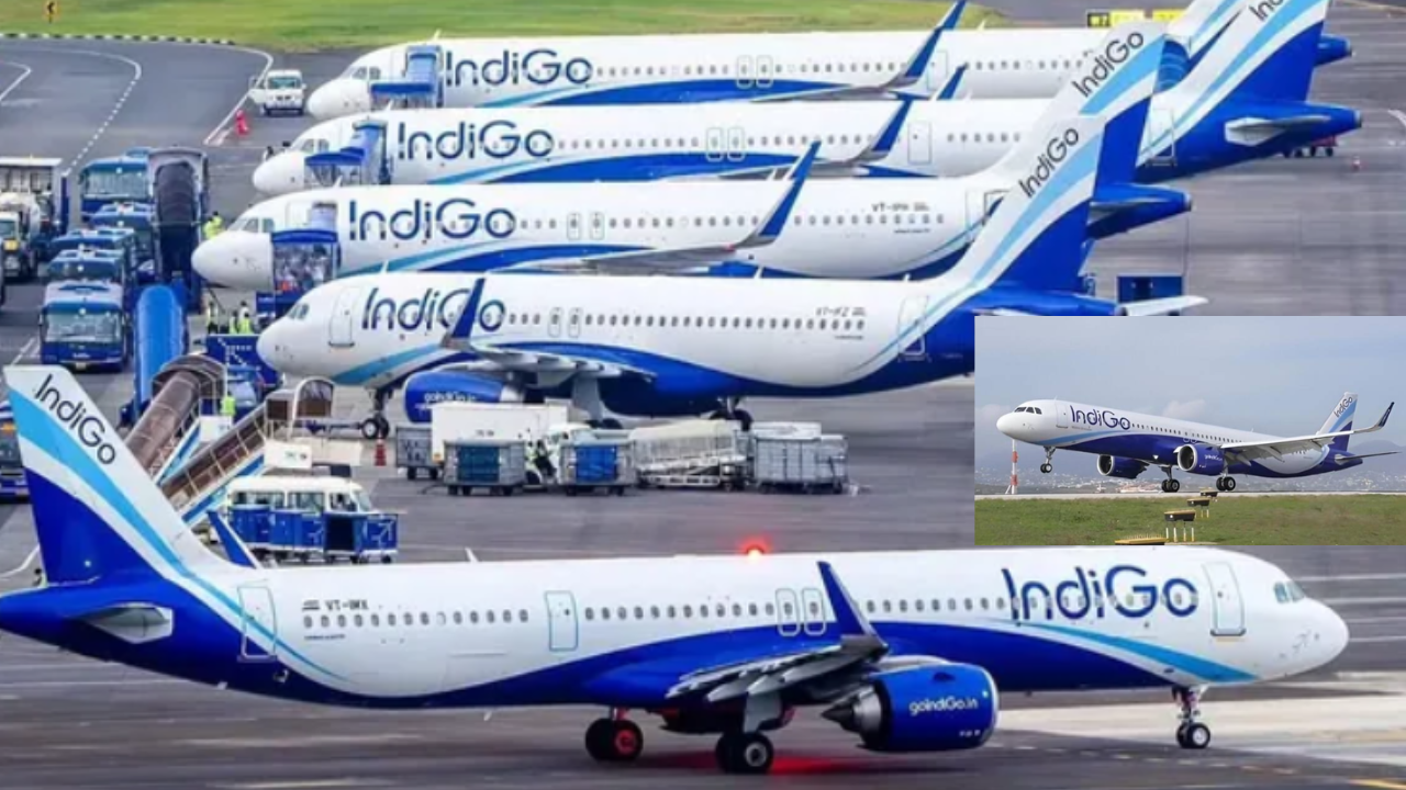 IndiGo