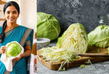 Cabbage Storage