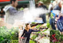 Vegetables Water Spraying