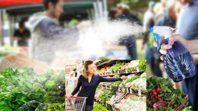 Vegetables Water Spraying