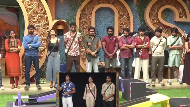 Bigg Boss Wild Card Entry