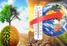 EL NINO Effect
