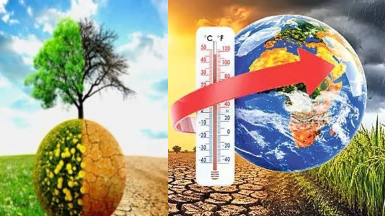 EL NINO Effect