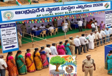 Local Body Elections