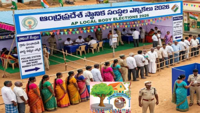 Local Body Elections
