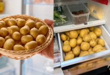 Potatoes In The Fridge
