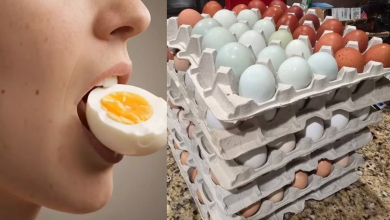 Country Chicken Egg Vs Farm Egg