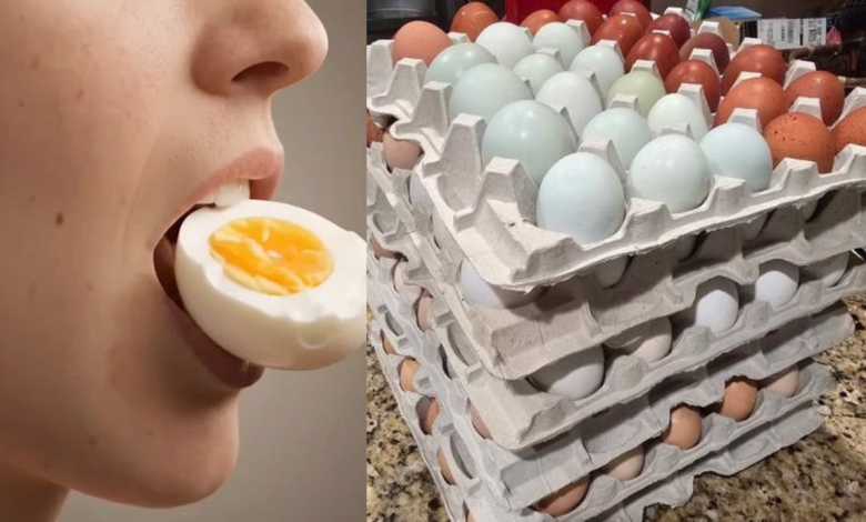Country Chicken Egg Vs Farm Egg