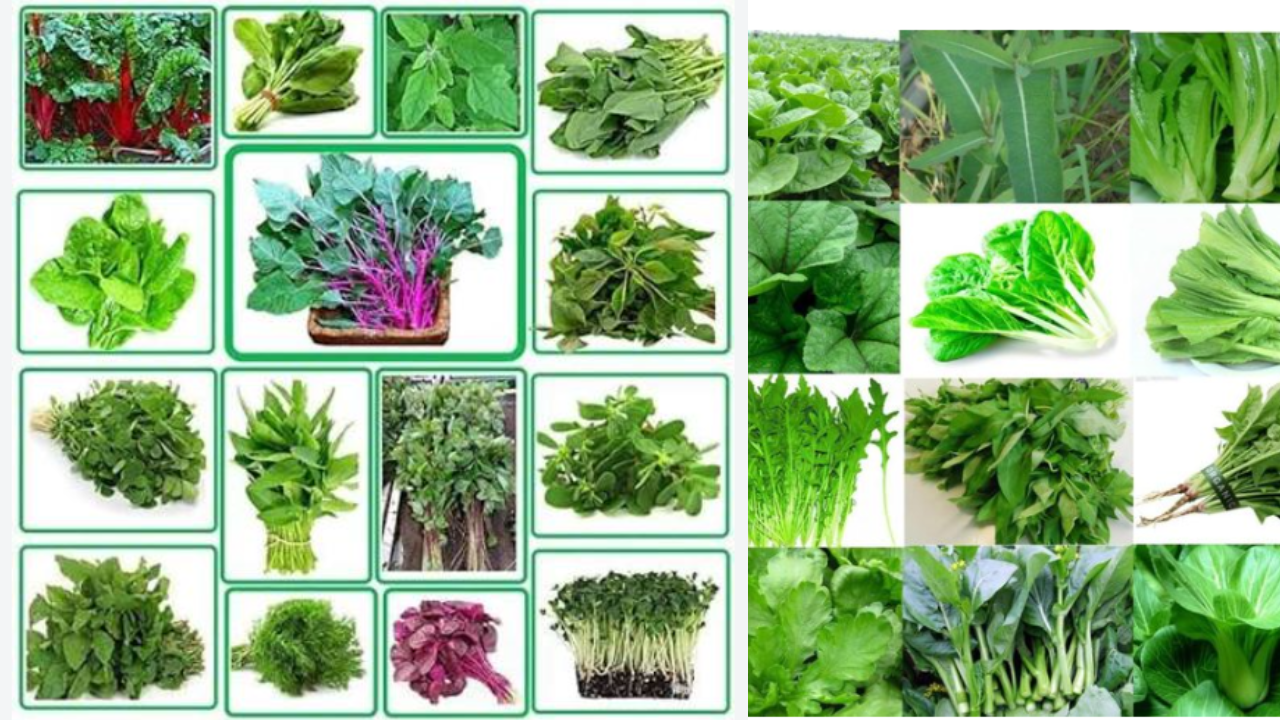 Leafy Green Vegetables