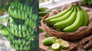 Raw Banana