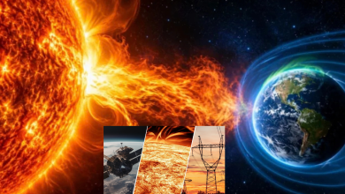 Solar Storm