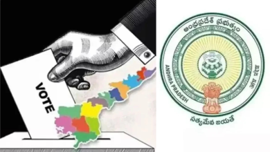 AP Municipal Elections