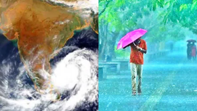 Cyclone
