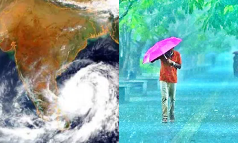Cyclone