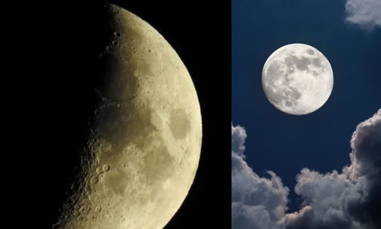 Moon
