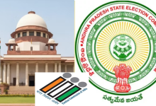 AP Municiapl Elections