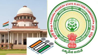 AP Municiapl Elections