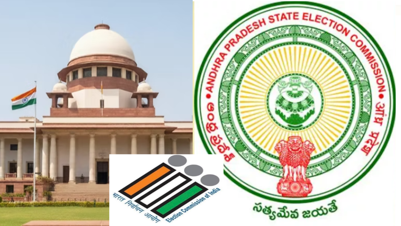 AP Municiapl Elections