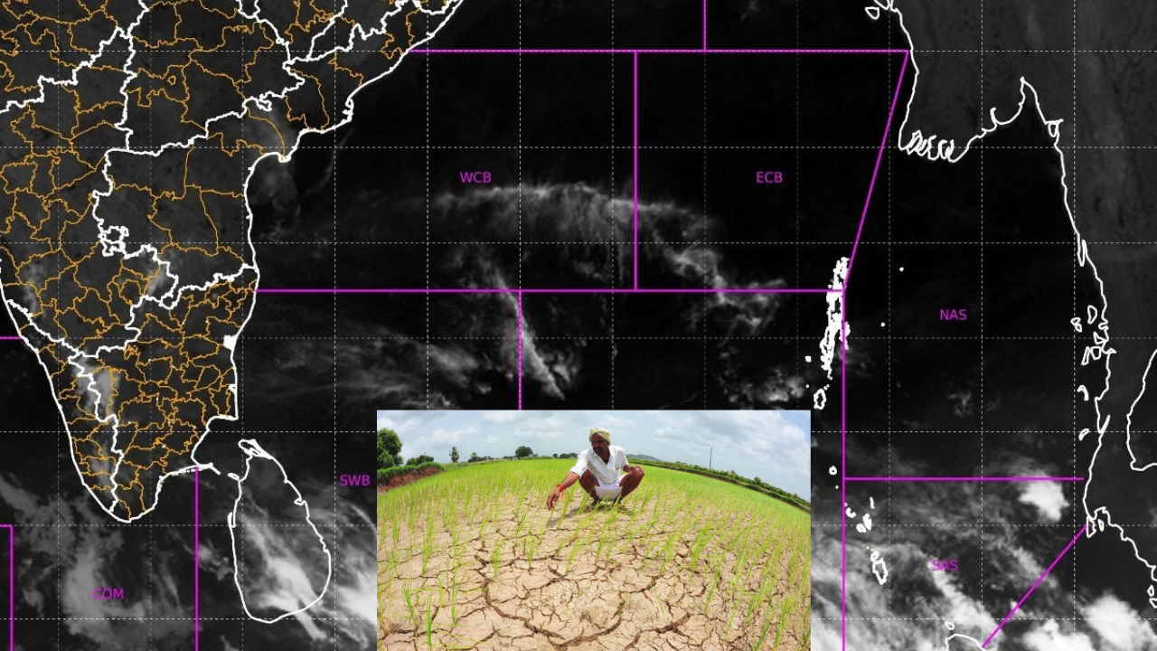 IMD Report