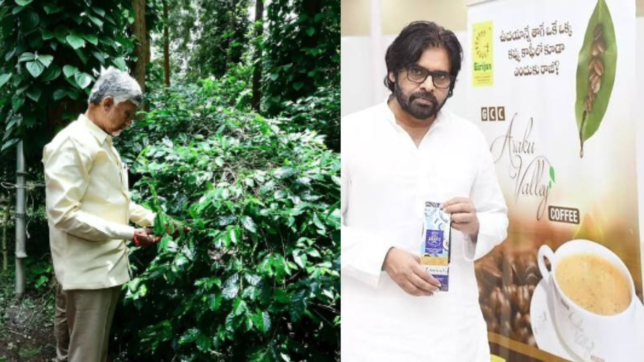 International Coffee Day