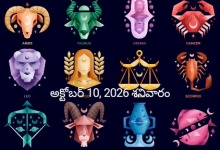 Today Rashi Phalalu